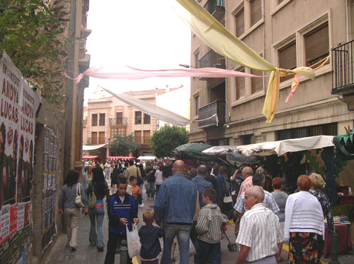 DSCN5452