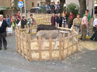 DSCN5426