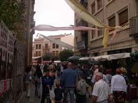 DSCN5452